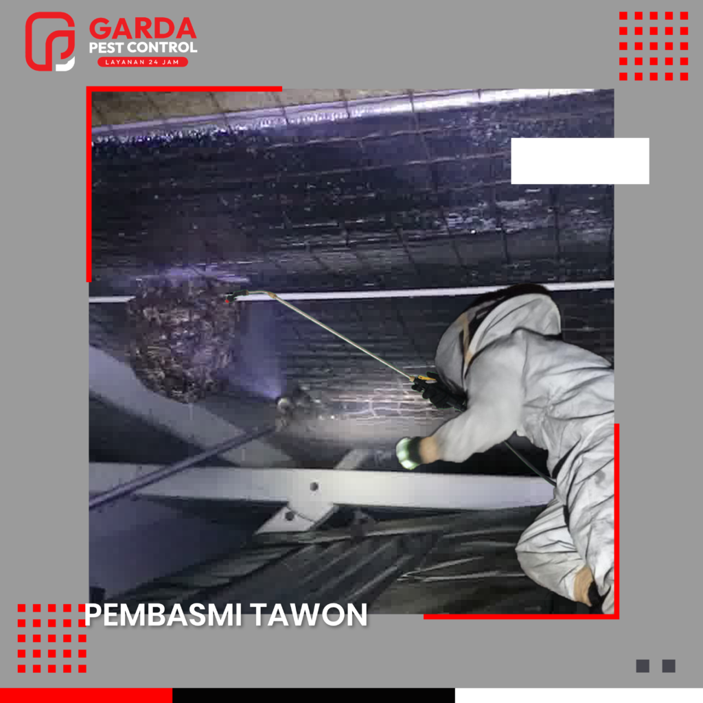 Jasa Pembasmi Tawon di Malang Cepat dan Aman
