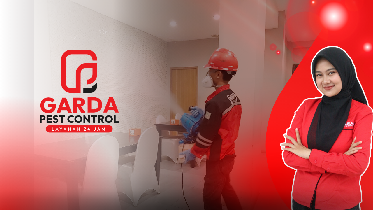 Jasa Basmi Nyamuk Demam Berdarah Jogja: Lindungi Keluarga Anda dengan Agata Pest Control