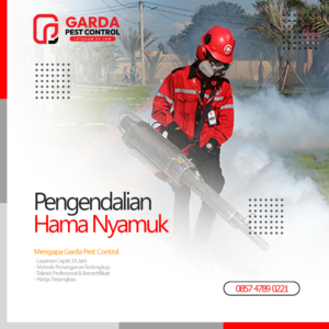 Jasa Fogging Nyamuk Terdekat di Jogja Garda Pest Control