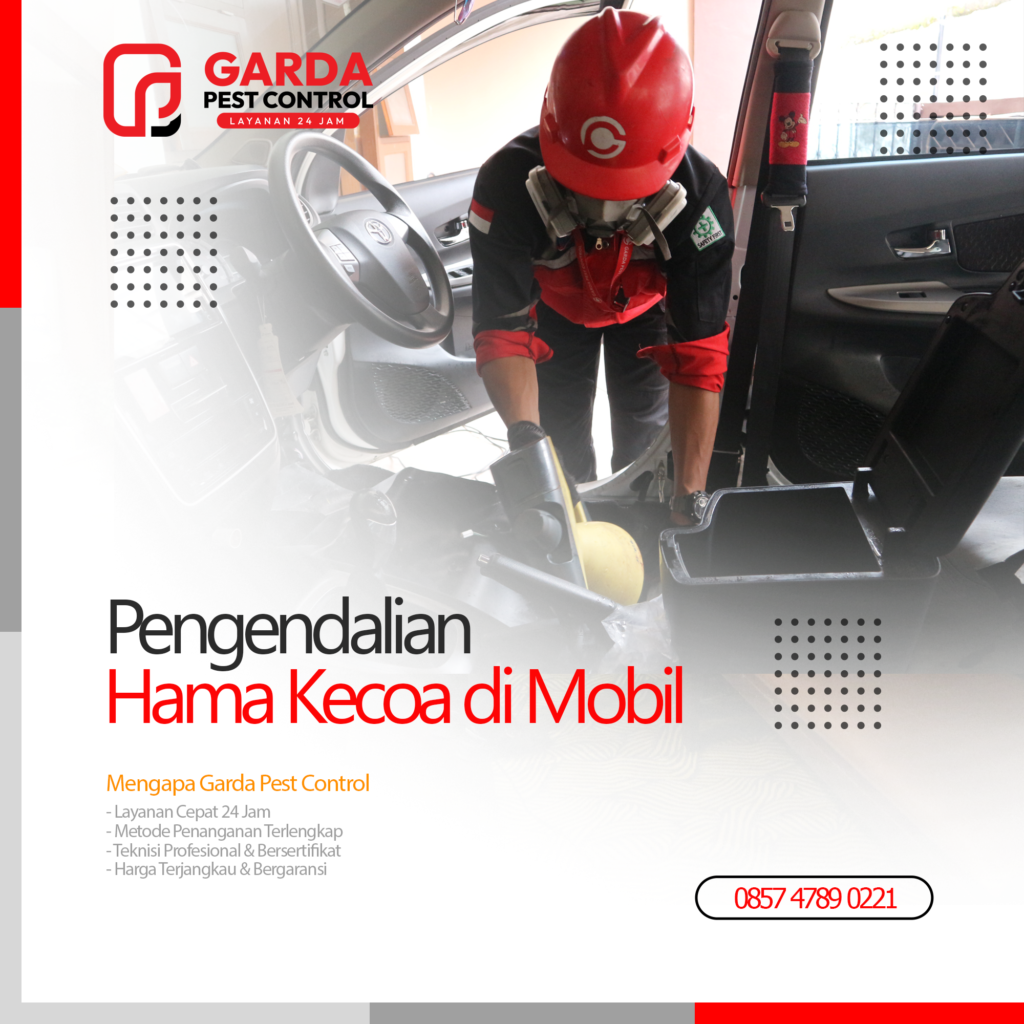 Jasa Pembasmi Kecoa di Mobil Jogja Pest Control Bergaransi