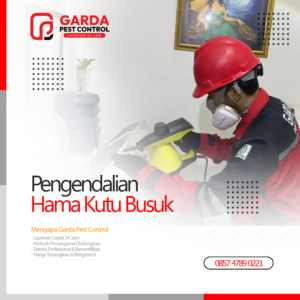 Jasa Pembasmi Kutu Kasur Terdekat & Terbaik di Jogja