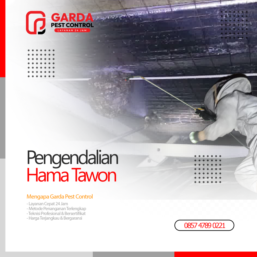 Jasa Pembasmi Tawon di Jogja Basmi Hama 24 Jam