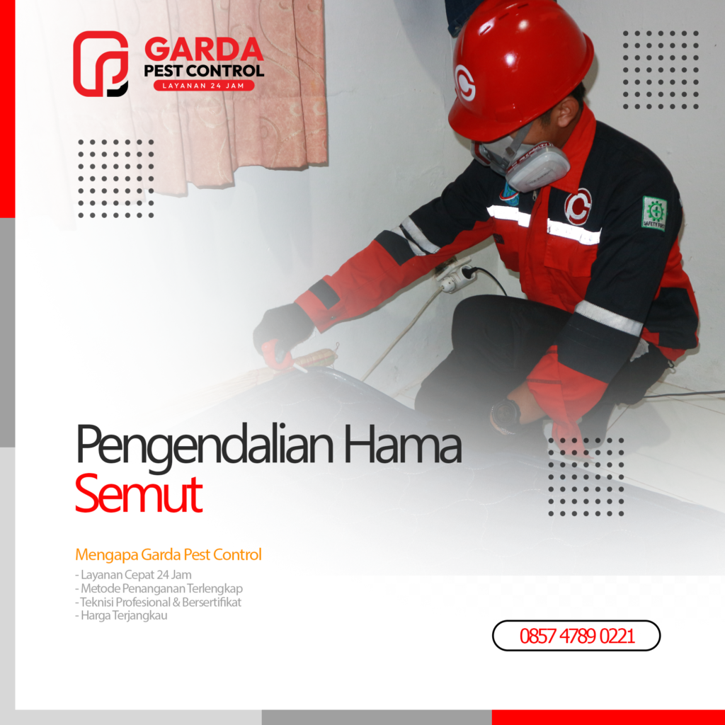 Jasa Pembasmi Semut di Jogja Basmi Hama 24 Jam