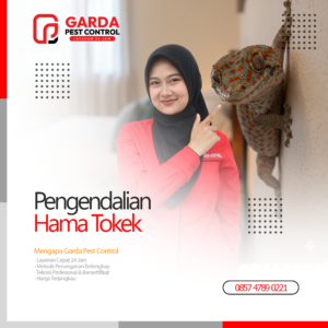 Jasa Pembasmi Tokek Terdekat di Jogja Panggilan 24 Jam