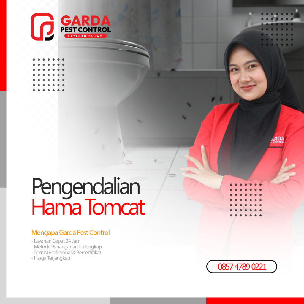 Jasa Pembasmi Tomcat di Jogja Basmi Hama 24 Jam
