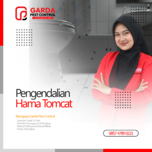 Jasa Pembasmi Tomcat Terdekat di Jogja Garda Pest Control