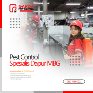 Jasa Pest Control Untuk Dapur MBG Terdekat di Jogja