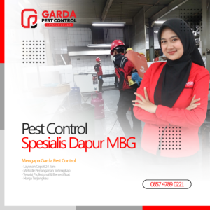 Pest Control Spesialis Dapur MBG SPPG di Jogja