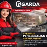 Jasa Pest Control Rayap di Jogja Garansi 3 Sampai 5 Tahun