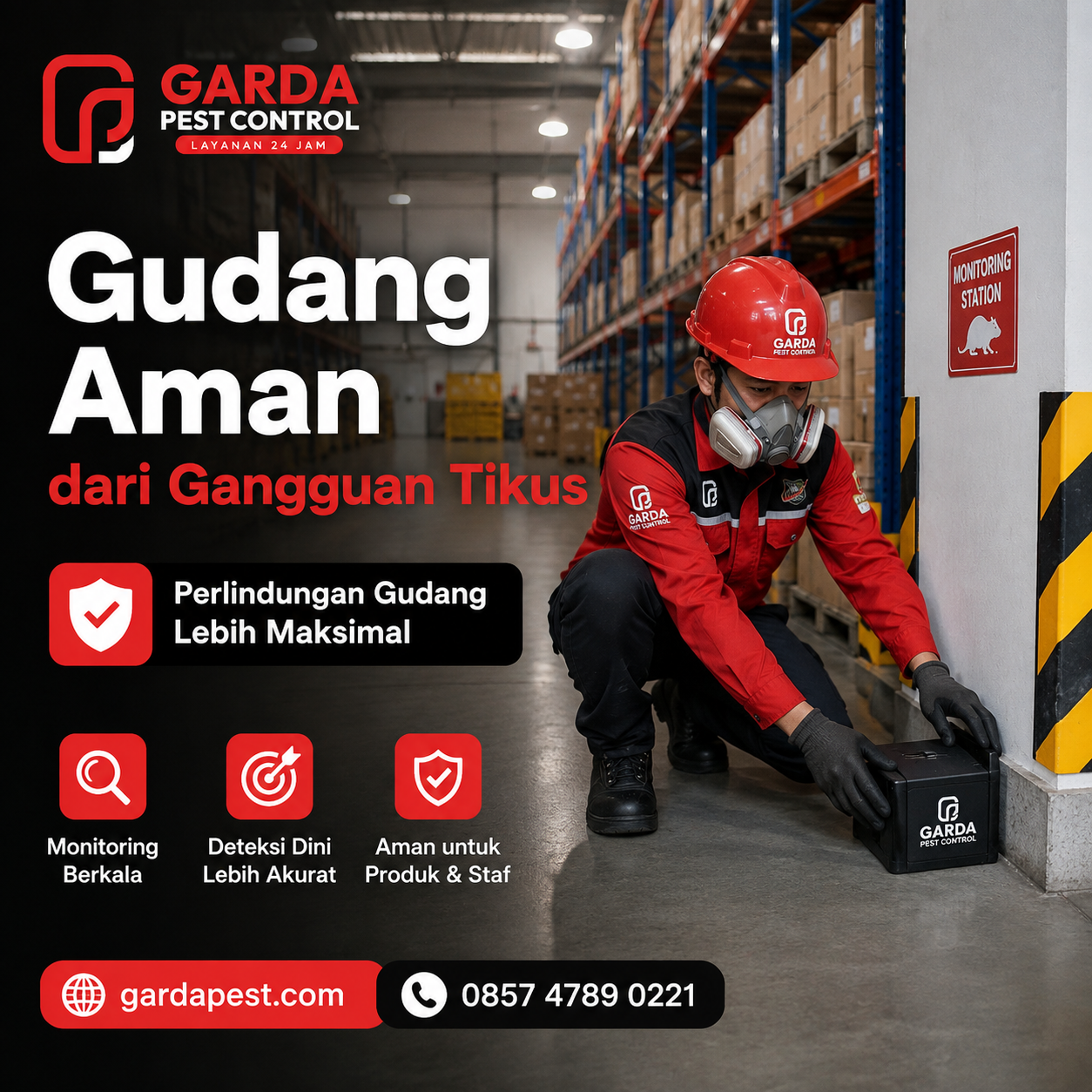 Jasa Pembasmi Tikus Jogja Terlengkap dan Panduan Layanan